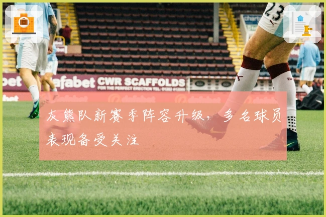 灰熊队新赛季阵容升级，多名球员表现备受关注